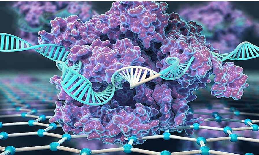 Hyundai Bioscience shows Clinical Strategy for Niclosamide-Based Anticancer Treatment